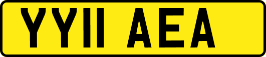 YY11AEA