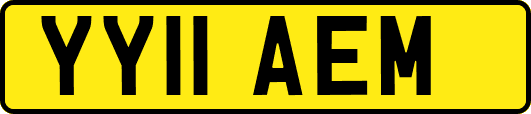 YY11AEM