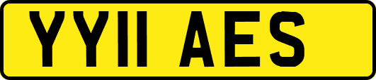 YY11AES