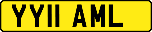 YY11AML