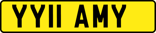 YY11AMY