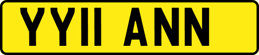YY11ANN