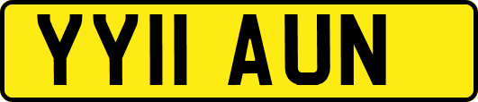 YY11AUN