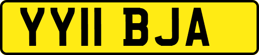 YY11BJA