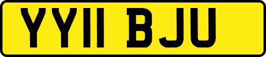 YY11BJU