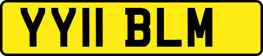 YY11BLM