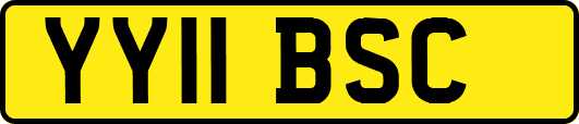 YY11BSC