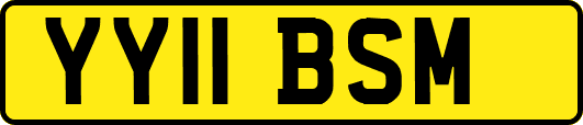 YY11BSM