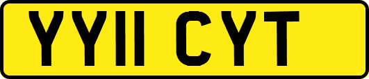 YY11CYT