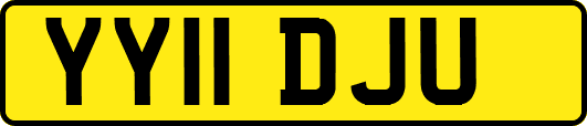 YY11DJU