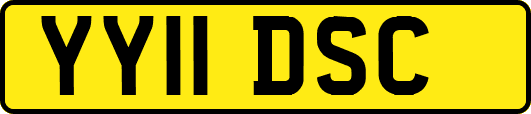 YY11DSC