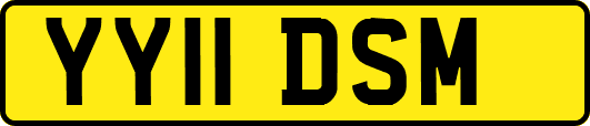 YY11DSM