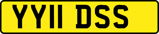 YY11DSS
