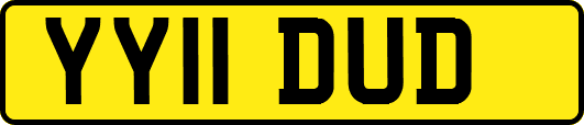 YY11DUD