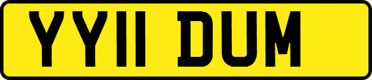 YY11DUM