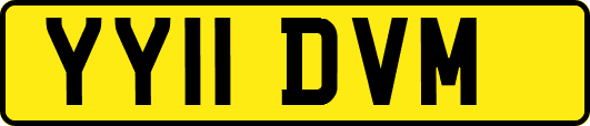 YY11DVM