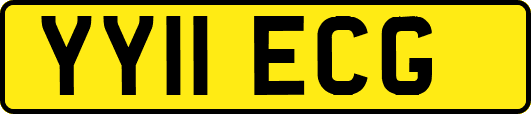 YY11ECG