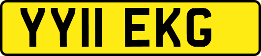 YY11EKG
