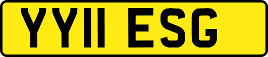 YY11ESG