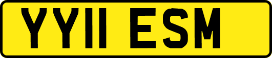 YY11ESM