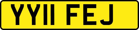 YY11FEJ