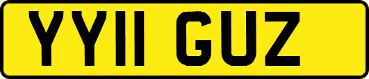 YY11GUZ