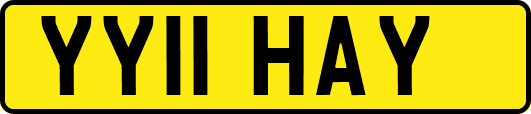 YY11HAY
