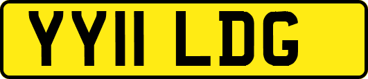 YY11LDG