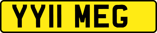 YY11MEG