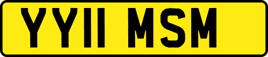 YY11MSM