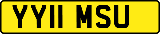 YY11MSU