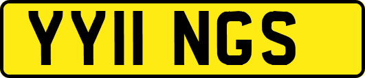 YY11NGS