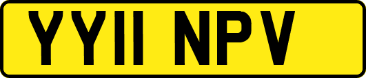 YY11NPV