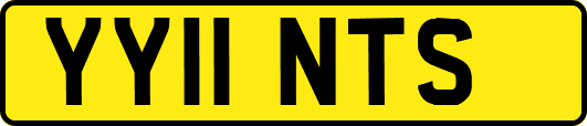 YY11NTS