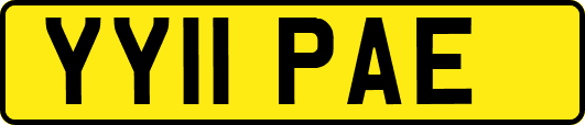 YY11PAE