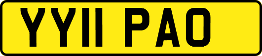 YY11PAO