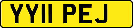 YY11PEJ