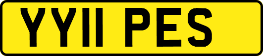 YY11PES