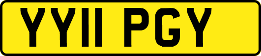 YY11PGY