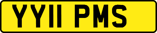 YY11PMS