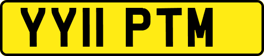 YY11PTM