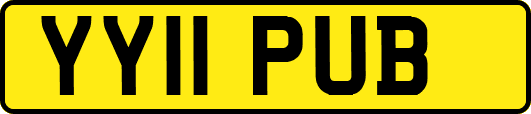 YY11PUB