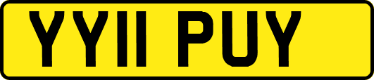 YY11PUY