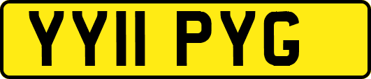 YY11PYG