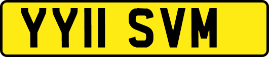 YY11SVM