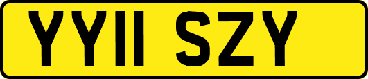 YY11SZY