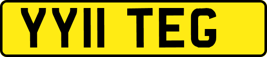 YY11TEG