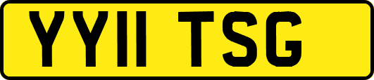 YY11TSG