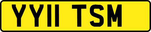 YY11TSM
