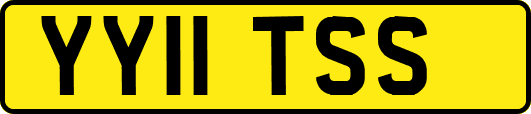 YY11TSS